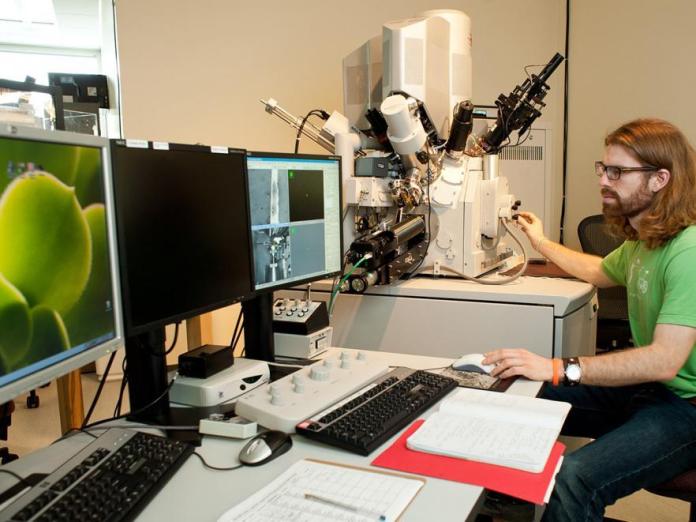 A student working on a computer in the Electron Microscopy Facility.