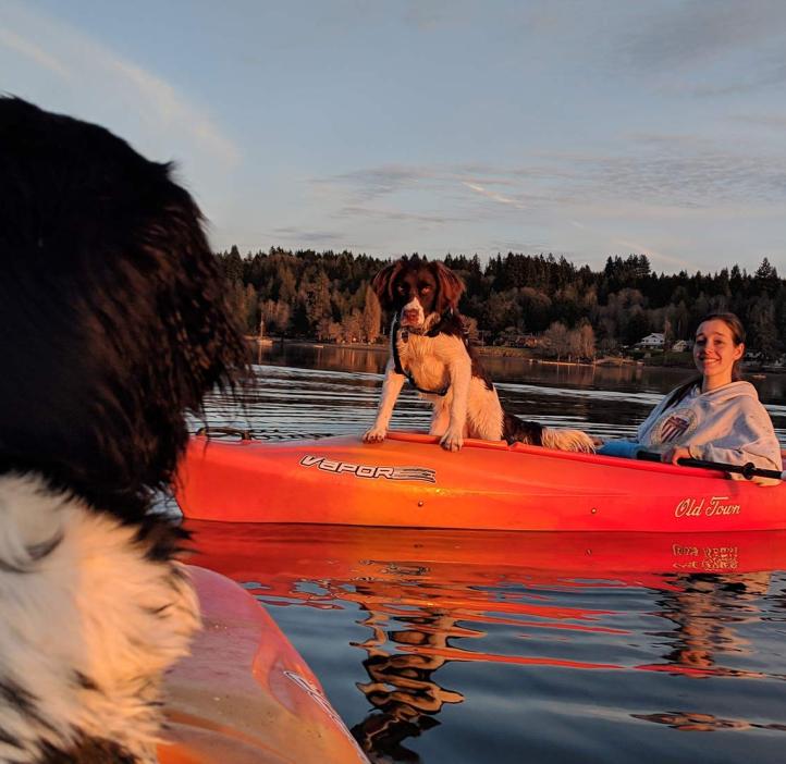 Brittany Lasher in a kayak on a river with dogs.